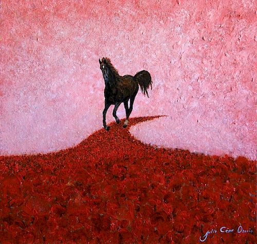 Julio Cesar Osorio, Poppy Fields