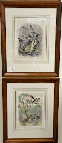 Ten framed colored lithographs to include five Crayon plate lithographs from The Birds of North America and five chromolithog