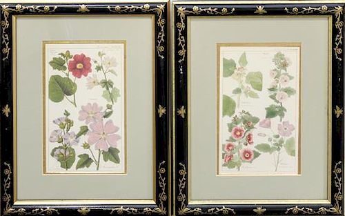 Two Offset Lithographs of Flowers 22 1/4 x 16 3/4 inches overall.