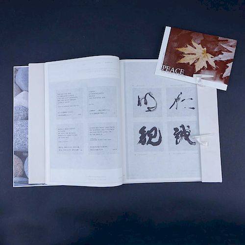 Tetsuzan Shinagawa Talk to a Stone Hardcover Book. by Mikio Shinagawa (Editor), Tetsuzan Shinagawa (Illustrator)