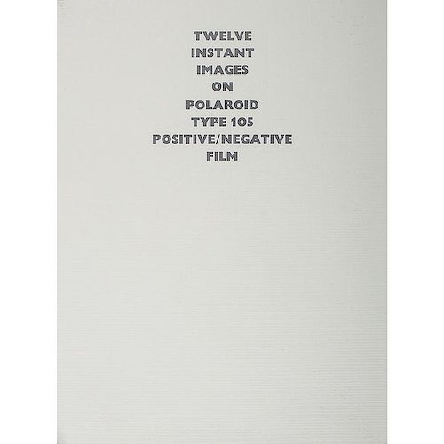 Twelve Instant Images on Polaroid Type 105 Positive/Negative Film