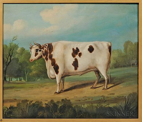 Anglo/American School, Mid-19th Century      Portrait of a White Bull with Brown Spots in a Pasture