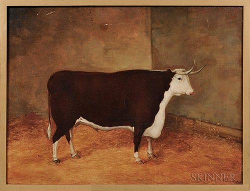 Anglo/American School, Mid-19th Century      Portrait of a Brown and White Bull in a Stall