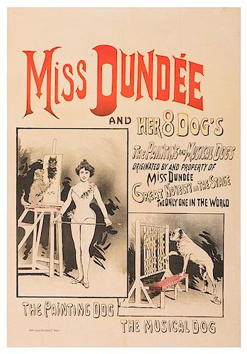 Miss Dundee and Her 8 Dogs.