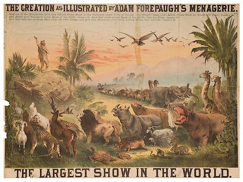 Adam Forepaugh’s Largest Show in the World. The Creation.