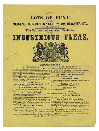 Sloane Street Gallery Handbill. Curious and Amusing Exhibition of Industrious Fleas.