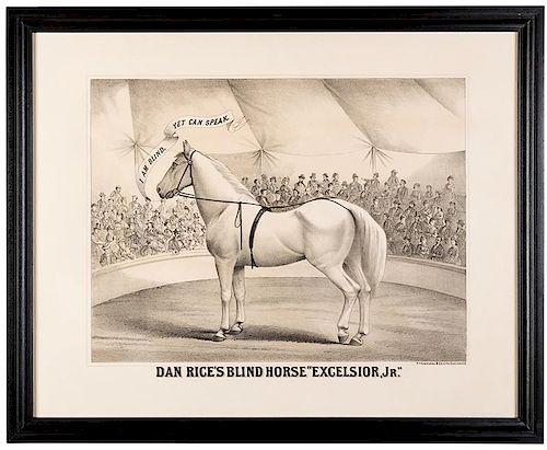 Dan Rice’s Blind Horse “Excelsior, Jr.”