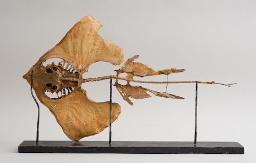 TWO RAY SKELETONS ON STANDS