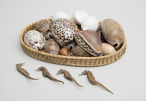 WOVEN BASKET AND A COLLECTION OF SEA SHELLS