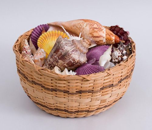 COLLECTIONS OF SEA SHELLS IN A CIRCULAR BASKET