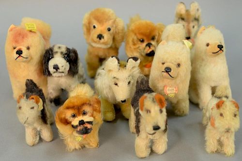 Group of twelve stuffed mohair dogs mostly Steiff including two collies, two Peky 1308, Fox terrier, etc.