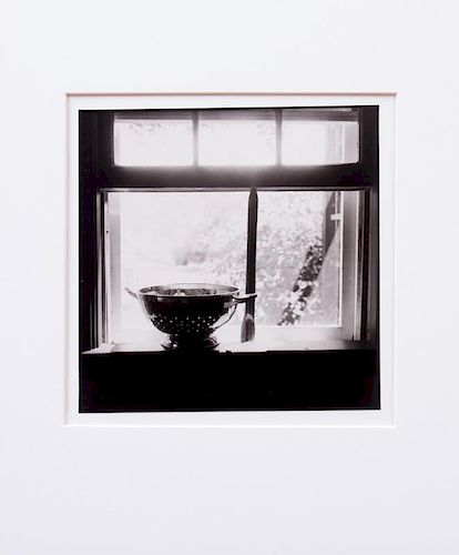 BRUCE CRATSLEY (1994-1998): COLANDER IN SCREENED WINDOW