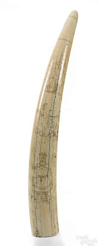 Scrimshaw decorated walrus tusk. 19th c.