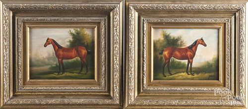 Pair of contemporary oil on canvas horse portraits
