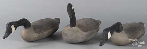 Three carved and painted Canada goose decoys.
