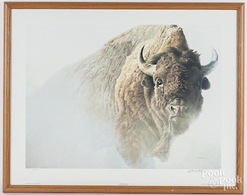 Robert Bateman signed print of a buffalo