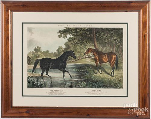 Four color lithographs of horses, after Herring