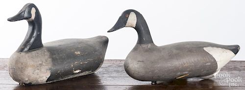 Two carved and painted Canada goose decoys.