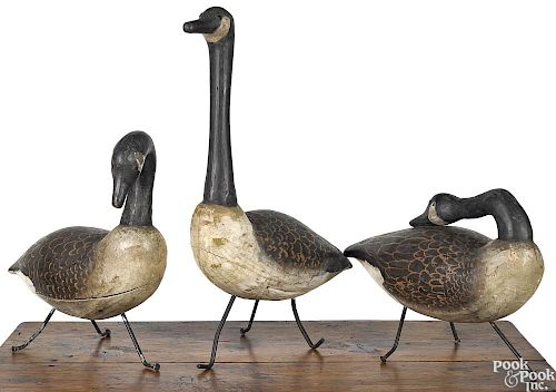 Three carved and painted Canada goose field decoys