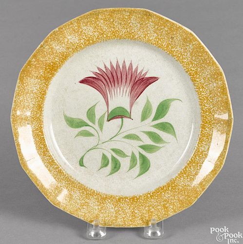Yellow spatter plate with thistle