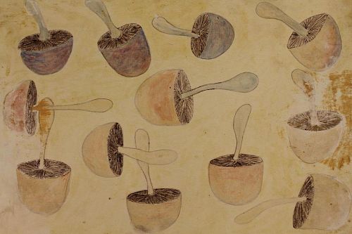 Vintage Painting of an Assortment of Mushrooms