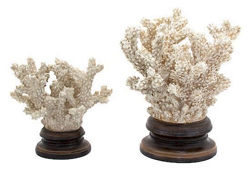 A Group of Four Coral Form Decorative Items Height of tallest 15 inches.
