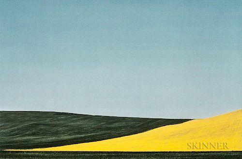 Franco Fontana (Italian, b. 1933)  Landscape