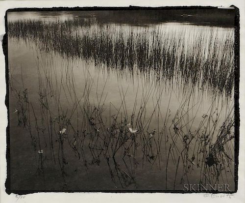 Koichiro Kurita (Japanese/American, b. 1943)  Feathers and Water Grasses, Acadia, Maine
