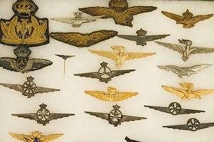 Italian Aviation Badges, Wings, and Specialization Badges