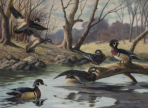 Harry Curieux Adamson (1916-2012) Sanctuary - Wood Ducks