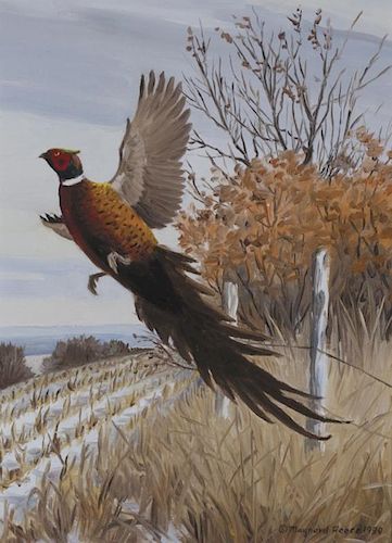 Maynard Reece (b. 1920) Pheasant