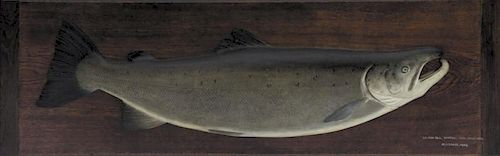 Arthur H. Raikes (1858-1929) Atlantic Salmon Model
