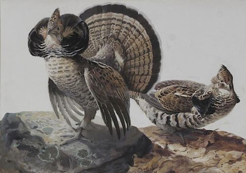 Roy Huse Collins (1883-1949) Grouse