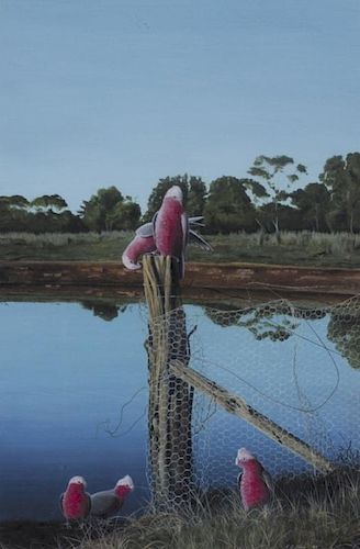 Andrew F. Payne (Australian, 20th Century) Rose-Breasted Galah - Cockatoo