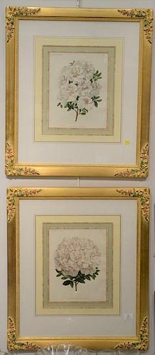 Set of four colored botanical lithographs, custom matted and framed including Zygopetalum lindeniae, Azalea Indica, etc. ss 1