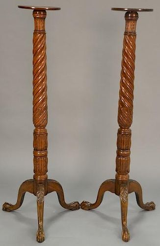 Pair of tall mahogany fern stands on turned shafts, set on ball and claw feet. ht. 60in., dia. 11in.