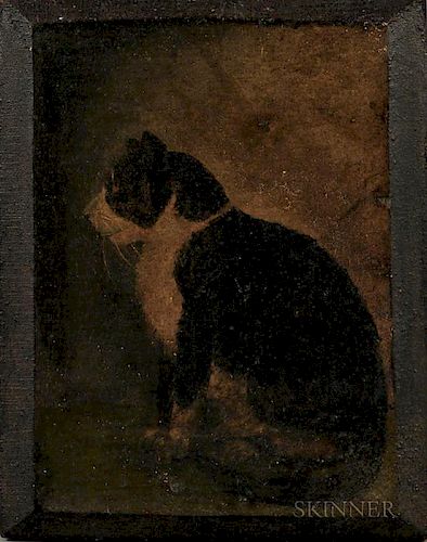 American School, 19th Century  Portrait of a Black and White Cat