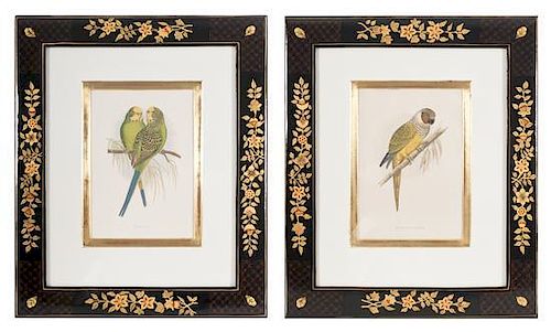 Two Decorative Prints of Birds in Painted and Lacquered Frames, Height 18 x width 15 inches.