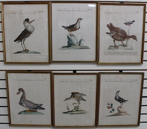 (6) Framed Antique Bird Prints