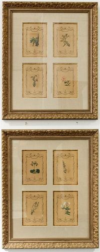 A Pair of Botanical Prints Framed 24 x 19 3/4 inches.