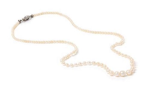 A Graduated Single Strand Natural Pearl Necklace, 2.60 dwts.