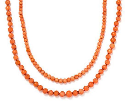 A Collection of Coral Bead Necklaces, 50.30 dwts.