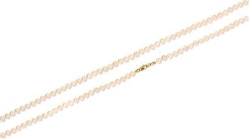 A 14 Karat Yellow Gold and Cultured Pearl Necklace, 26.50 dwts.