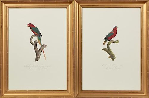 Francois Levaillant (1753-1824), "La Perruche Lori-papou," and "La Perruche Phigy," 20th c., pair of colored etchings, 67/200