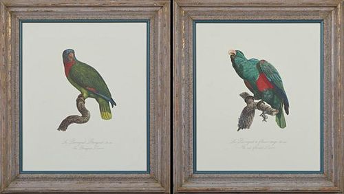 Francois Levaillant (1753-1824), "The Red-Flanked Parrot, " and "The Bouquet Parrot," 20th c., pair of colored prints, presen