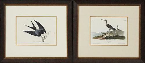 John James Audubon (1785-1851), "Greenshank," and "Swallow-tailed Hawk," 1840, pair of first edition octavo prints, presented