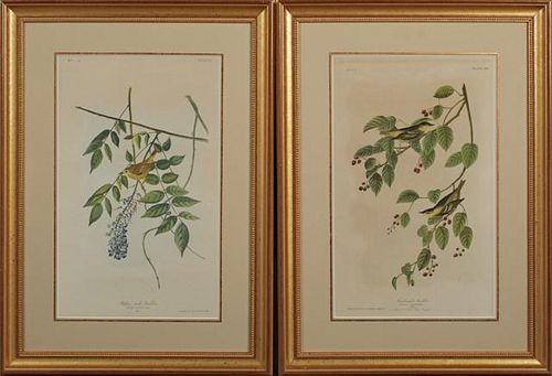 John James Audubon (1785-1851), "Yellow Poll Warbler," No. 5, Plate 89 and "Carbonated Warbler," No. 7, Plate 109, 1859, Bien