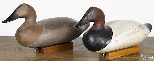 Pair of canvasback duck decoys