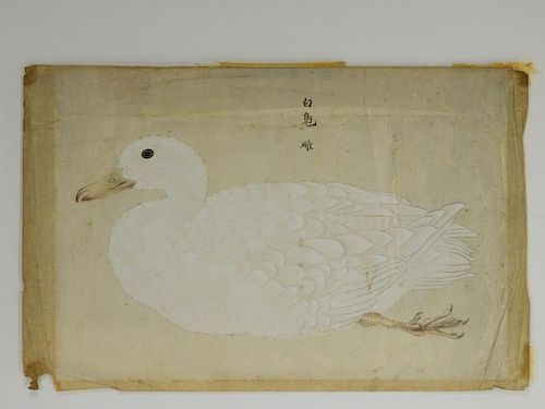 18C Chinese Watercolor Paper Peking Duck Painting