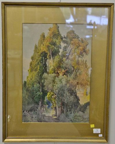 Onorato Carlandi (1848-1939), watercolor, Trees in landscape, signed lower right: Carlandi Villa d'Este Tivoli, 21" x 14 1/2"